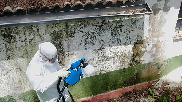 Trusted Mold Testing service in Richmond, TX - Cheap Mold Removal